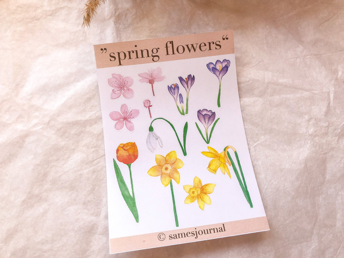 Frühlingsblume, Blüten, Frühling, Stickersheet, Sticker, Aufkleber, Narzisse, Tulpe - samesjournal