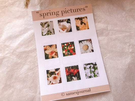 Frühlingsblume, Fotografien, Blüten, Frühling, Stickersheet, Sticker, Aufkleber, Narzisse, Tulpe - samesjournal