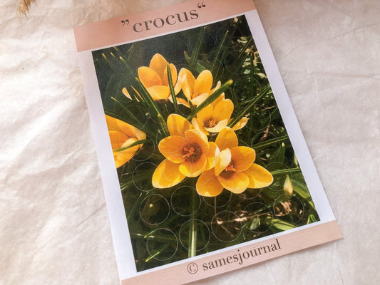 I Frühlingsblume, Fotografie, Kreise, Stickersheet, Sticker, Aufkleber - samesjournal