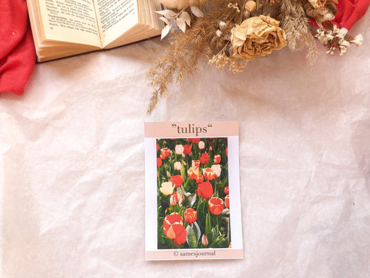 III Frühlingsblume, Fotografie, Kreise, Stickersheet, Sticker, Aufkleber, Tulpen - samesjournal