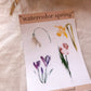 Aquarell Frühlingsblume, Blüten, Frühling, Stickersheet, Sticker, Aufkleber, Narzisse, Tulpe - samesjournal