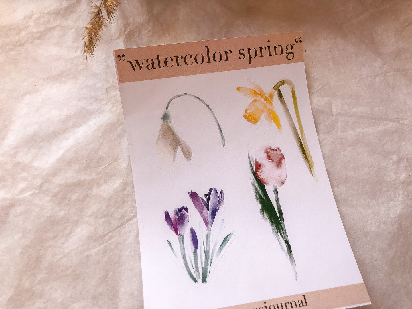 Aquarell Frühlingsblume, Blüten, Frühling, Stickersheet, Sticker, Aufkleber, Narzisse, Tulpe - samesjournal