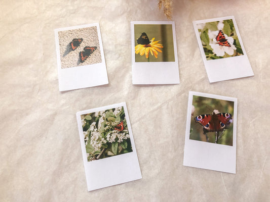 Schmetterling Foto Sticker, Aufkleber, Sofortbild, Bilder, samesjournal