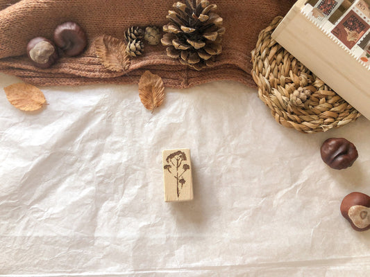 Holzstempel Gräser, Herbst, Stempel, Laserstempel, samesjournal